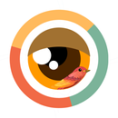 Observa APK