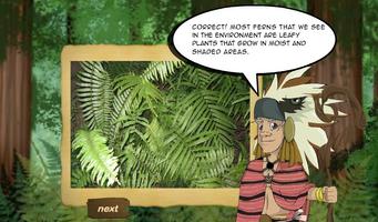 The Fern ポスター
