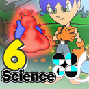 Circulatory System APK