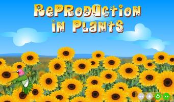 Reproduction in Plants poster