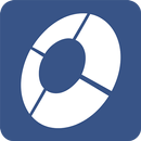 DealerSocket Service APK