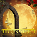 Hidden Object - Mystic Moonlight APK