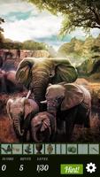 Hidden Object - African Advent الملصق