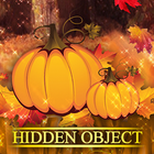 Hidden Object Worlds - Fall Fe icône