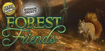 Hidden Object: Forest Friends Adventure