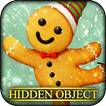 Hidden Object - Holly Jolly Xm