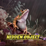 Hidden Object - June Gloom иконка