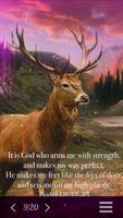 Hidden Object - Psalms Screenshot 2