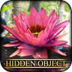 Hidden Object - State of Zen