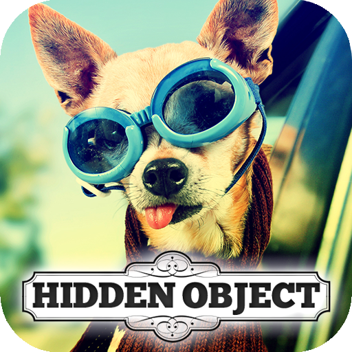 Hidden Object - Travelling Pet