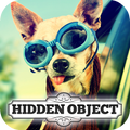 ”Hidden Object - Travelling Pet
