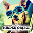 Hidden Object - Travelling Pet APK
