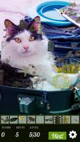 Hidden Object - Travelling Pet imagem de tela 2