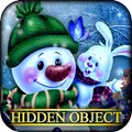 Hidden Object - Winter Splendor