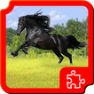 Beautiful Horses Puzzles