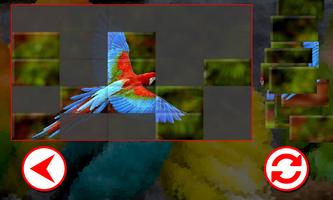 Birds Puzzles screenshot 1