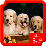 Honden Puzzels