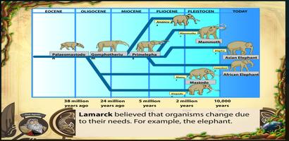 Theories of Evolution poster