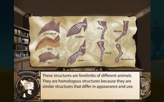 Evidences of Evolution screenshot 3