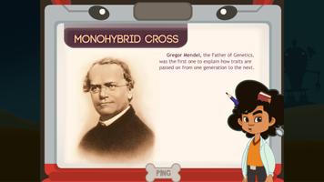 Monohybrid Cross постер