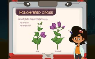 Monohybrid Cross скриншот 3