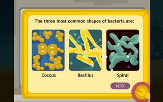Kingdom Monera (Bacteria) imagem de tela 3