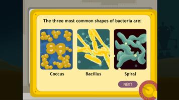 Kingdom Monera (Bacteria) imagem de tela 1