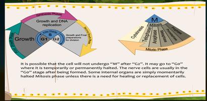 Cell Cycle, Mitosis and Meiosis Ekran Görüntüsü 3