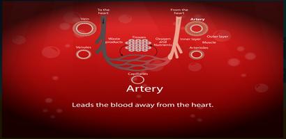 Circulatory, Lymphatic Systems screenshot 1