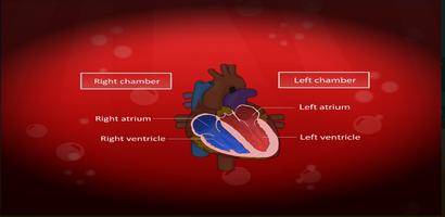 Circulatory, Lymphatic Systems screenshot 2