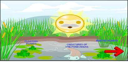 Flow of Energy in  Ecosystem screenshot 1