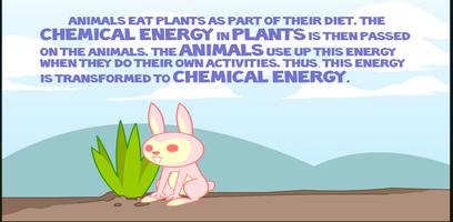 Flow of Energy in  Ecosystem screenshot 3