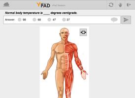vPad Tablet скриншот 1