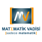 Matematik Vadisi Video Çözüm আইকন