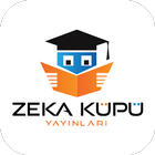 Zeka Küpü Video Çözüm icône