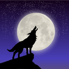 Moon of Birth Zeichen