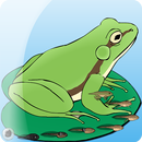 My Pet Frog APK