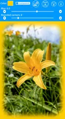 Blur Edges of Photo APK download