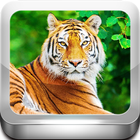 Escape Game -Tiger Zone ไอคอน