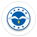 Go Brighton & Hove Albion!-APK