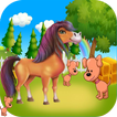 Pet house cleaning - Animals g