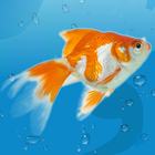 AquaLife 3D icon