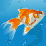 آیکون‌ AquaLife 3D