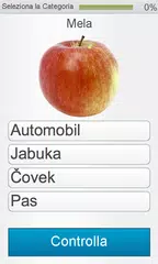 download Impara il serbo - Fabulo APK