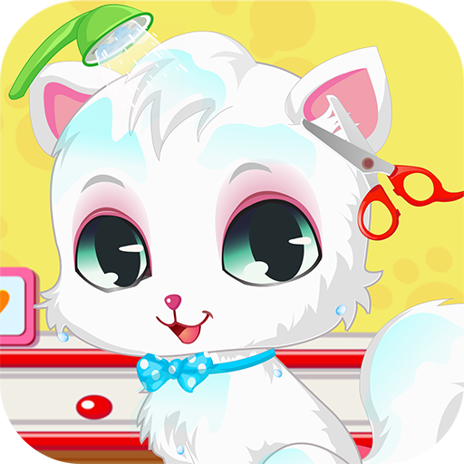pet cat spa e giochi salone