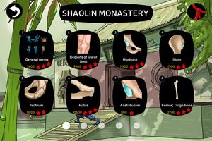 Anatomy Ninja Lower Limb Screenshot 1