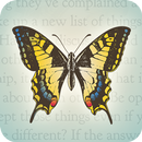 Happiness In Your Life Oracle-APK