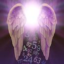 Angel Number Signs-APK