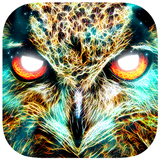 Shamanic Oracle Cards APK