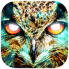 APK Shamanic Oracle Cards